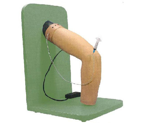 肘关节腔内注射模型KAR/L71
