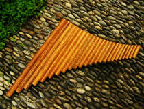 ★Yueyin Caotang★ Fengyi panpipe Dong Xuehua made Xiangfei bamboo 24 pipes SF