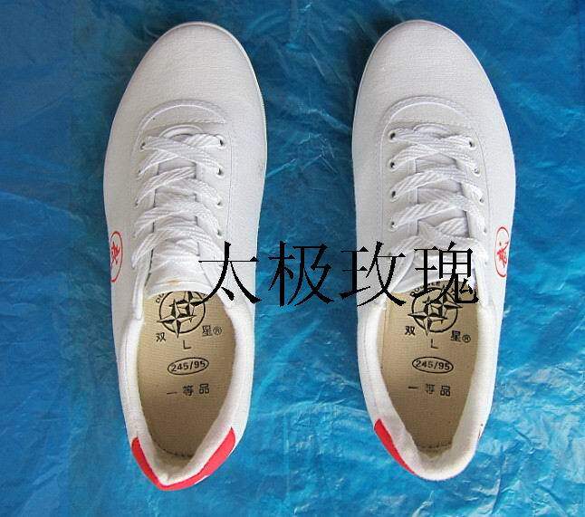 Double - star canvas shoes men and women Taiji shoes martial arts shoes practicing shoes white