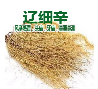 Asarum 500g Chinese herbal medicine Liao Asarum North Asarum Asarum powder 500g mail