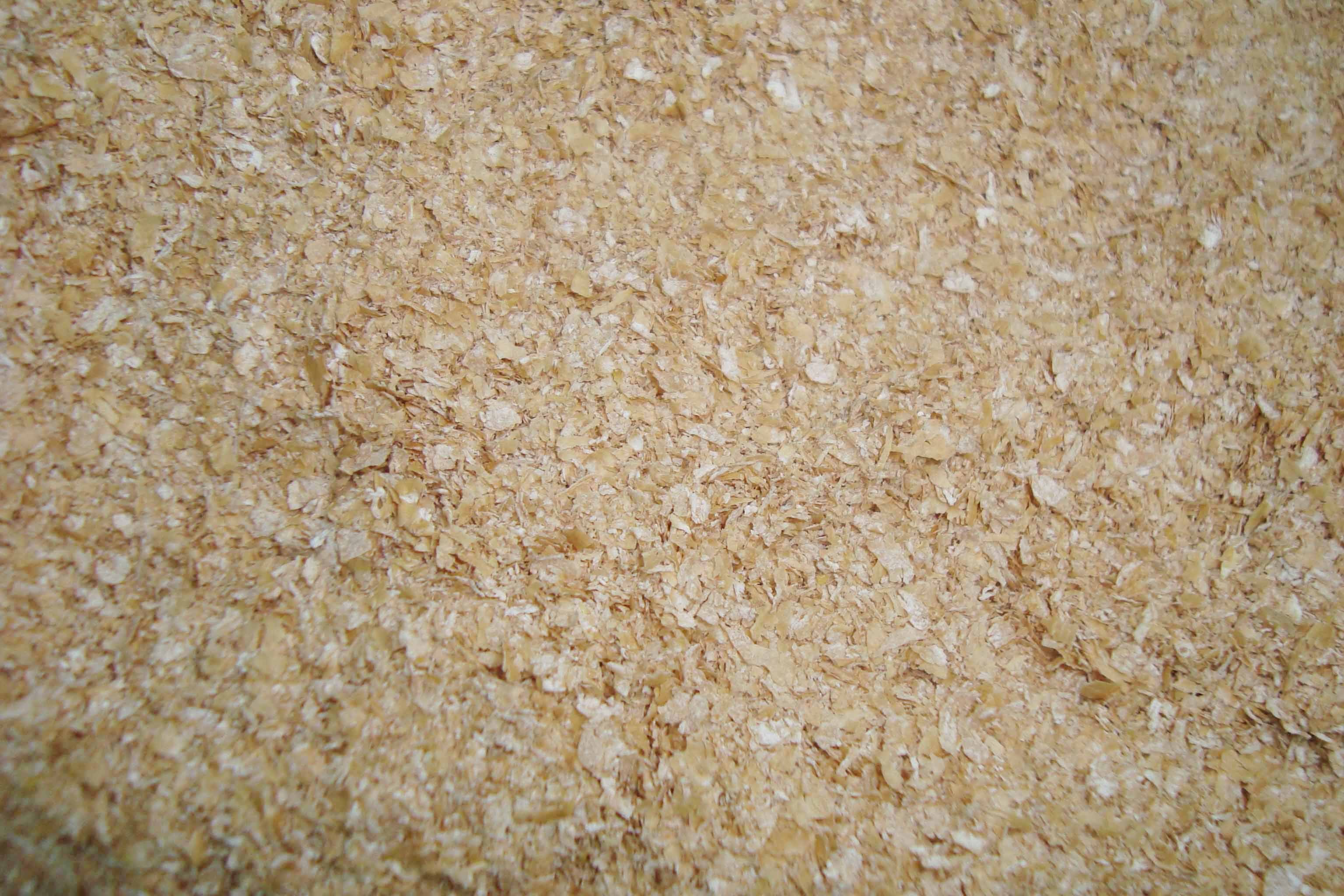 2015 farmhouse self-planted new wheat flour freshly eaten wheat bran gluten bran small wheat bran bait canon 250g