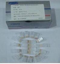 AMP crystal head RJ45 crystal head network cable crystal head