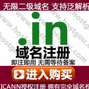 in Domain name renewal Support pan-resolution Unlimited second-level domain meters Foreign trade India website purchase renewal