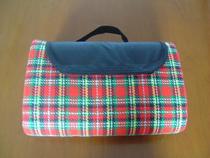 Double ground floor cloth anti-damp cushion picnic mat beach mat