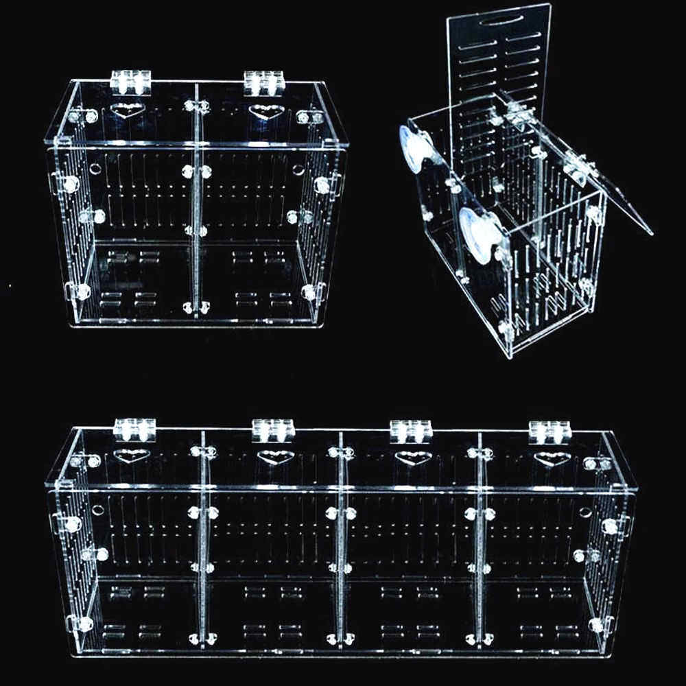 Fish tank isolation box size No aquarium for acrylic peacock seedling breeding box Fish tank isolation box