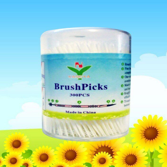 Guangzhou Lijie-Environmentally friendly plastic toothpick front toothpick rear interdental brush toothpick box 10 boxes