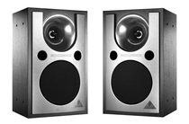 Bailingda CE1000P speaker (sample) (fake one penalty)