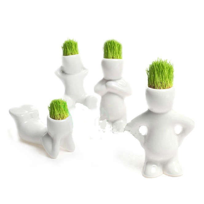 小白人草娃娃白色恋人青草种植迷你植物创意绿植长草娃娃草头娃娃