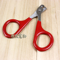 Popo BOBO Pet Nail Clippers Nail Clippers Pet Scissors Small Cut Cat Cut Mini Dog Nail Clippers