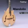 Mandolin Mandolin Chin Mandolin Handmade Western Nhạc cụ Nhà máy Vận chuyển trực tiếp trống bo