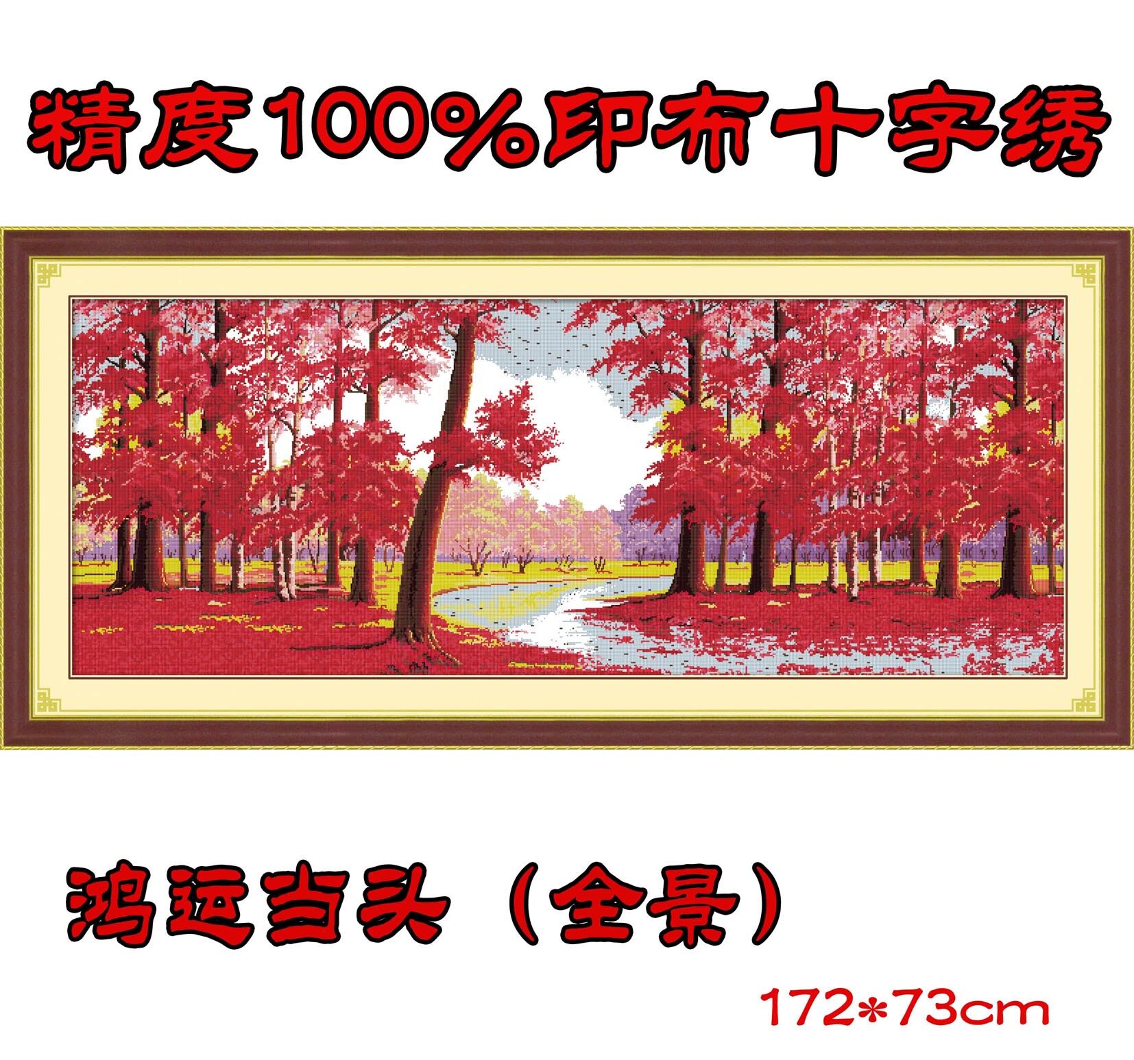 Silk thread printed Buchum for the head panoramic cross embroidered kit new