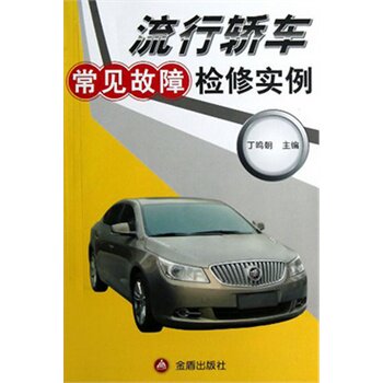 流行轿车常见故障检修实例 正版图书 丁鸣朝