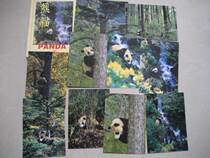 1989 Hong Kong Edition Panda Postcard 10 All (2000 Panda Full Counterpart Limit)