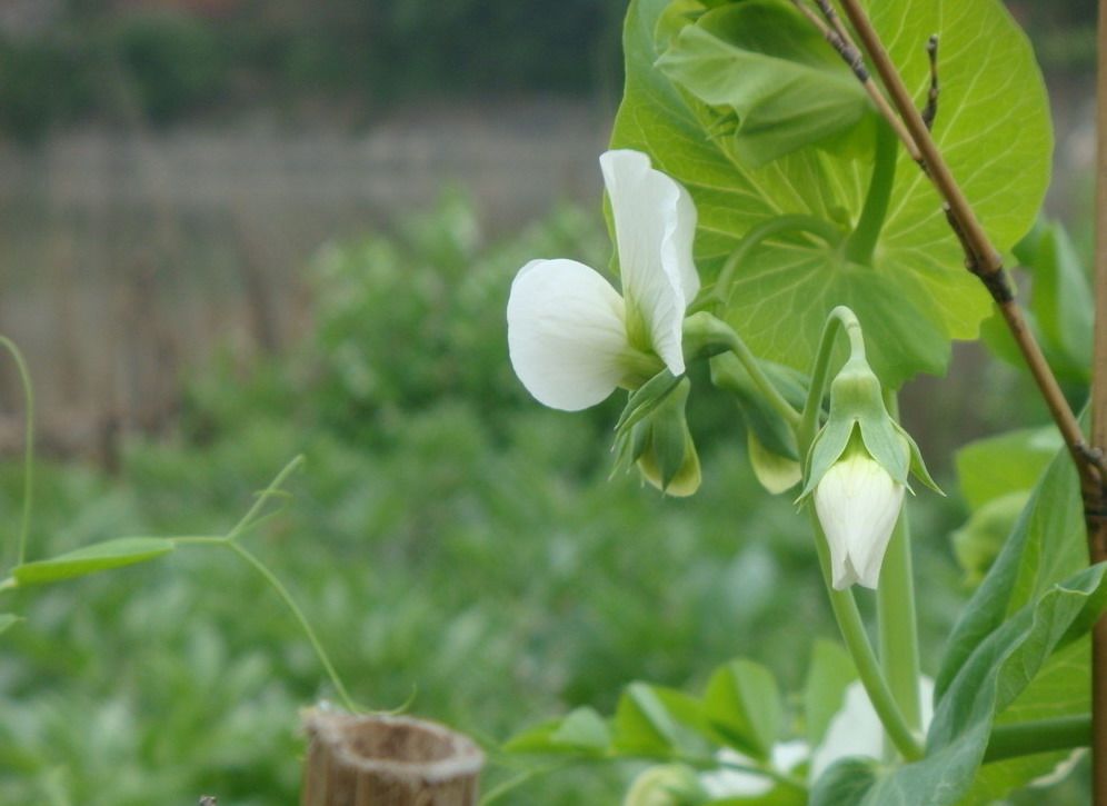 Financial Out of Management SQL Edition Financial Accounts Management Out of Management Finance Fixed Asset Management