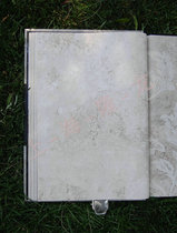 Auja Wallpaper Wall Paper Seattle Pure Paper 968001968002968003968004968005