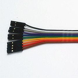 Dupont 2 54－10P 2468#24 UL rehearsal cable female to female L=250MM Another DuPont 2 0 wire