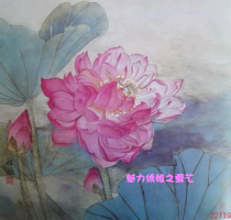 Charm Su embroidery Chinese style Suzhou characteristic handmade DIY embroidery kit Simple and easy to learn materials Classical lotus