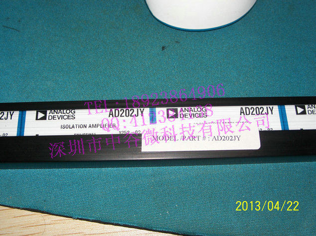 AD202JY AD202 isolation amplifier brand new original imported SIP-10 straight plug ADI brand