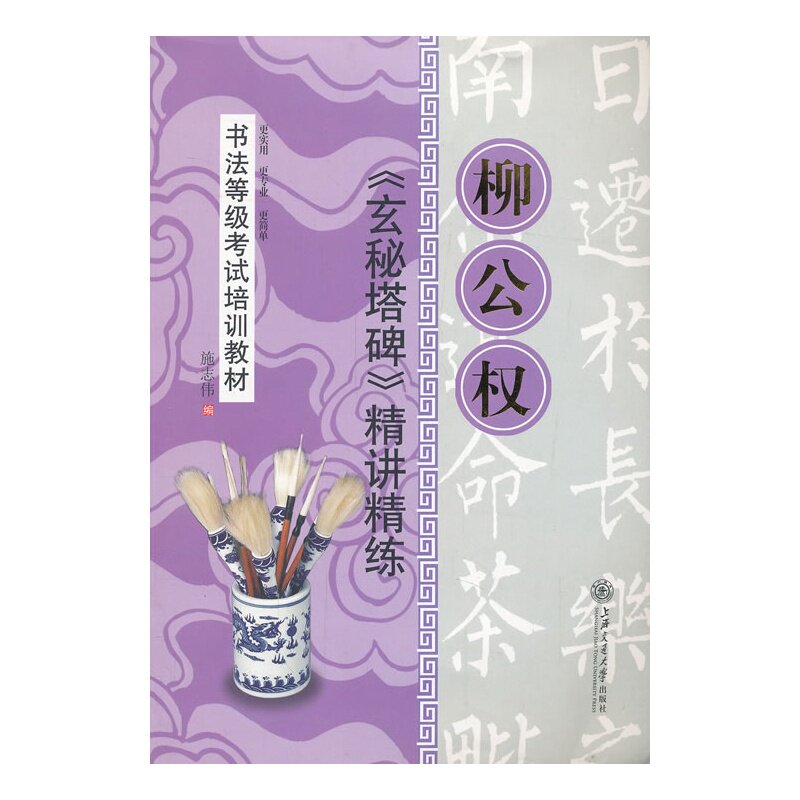 柳公权玄秘塔碑精讲精练 正版图书 施志伟