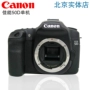 Máy ảnh Canon 50D độc lập Canon 50D Máy ảnh đơn thân 40D 60D chỉ bán 700 - SLR kỹ thuật số chuyên nghiệp máy ảnh leica