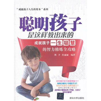 聪明孩子是这样教出来的 成就孩子一生聪慧的智力修炼全攻略（