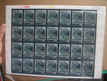 T99 Peony Ting Total Ticket (28 sets) All Products All New Collection Collection