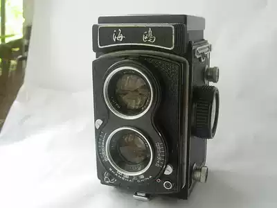 Very new Seagull 4A dual mirrorless camera can be collected and used