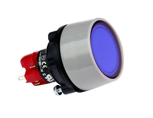 The Progressive Alliance button switch D16LAV1-1AB with lock mounting size 22 Plastic ring spot