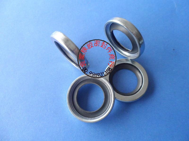 Galvanized exterior skeleton oil seal Single lip air compressor seal plastic king rotation seal