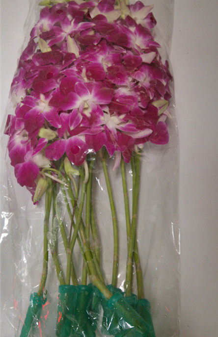 Fresh vegetables Fresh Orchid Western meal accessories Beijing-Tianjin-Hebei full 68 Shunfeng-Taobao