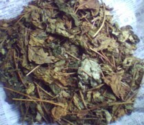 Chinese herbal medicine stinky sycamore leaves 500g