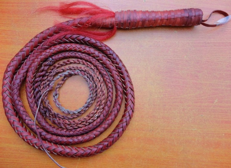 (Loud Whip) special price steel wire lengthened red five-meter fitness to whip up the leather whip (leather handle)
