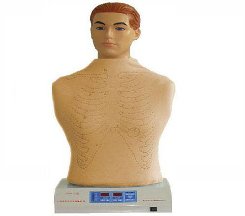 全自动高级心肺触诊听诊模拟人（单机版）/心肺触诊听诊模拟器