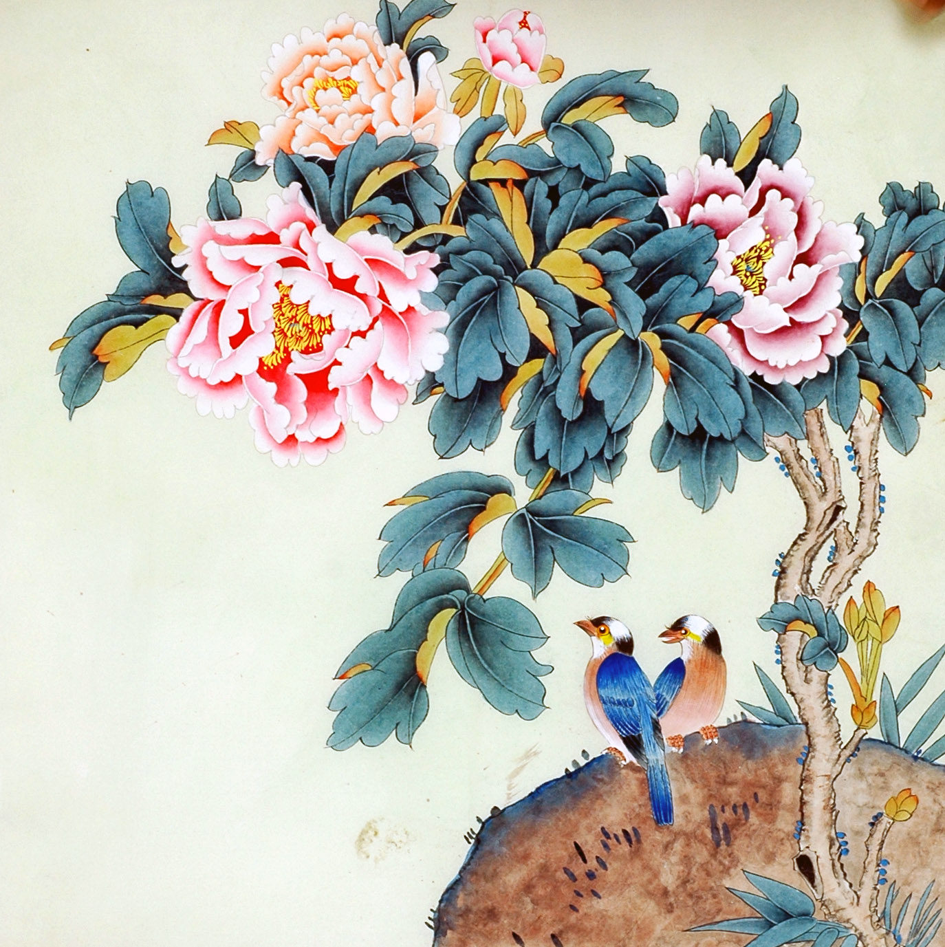 Chinese painting work stroke flower bird painting 4-ruler hopper square peony boutique pure hand-painted living room bedroom decorative character painting