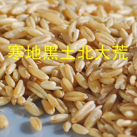 Northeast farmhouse self-produced fresh oat Mitte produce quality new rice full germ cooking porridge Cereals Five Grain Cereals 500g