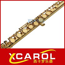 Professional performance level 16 closed hole plus E-key flute instrument general beginner grade FL-218A gilded