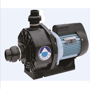 Italian ten thousand See Water Pump EMAUX Water Pump Pool Equipment Pool Water Pump Massage Water Pump SS033