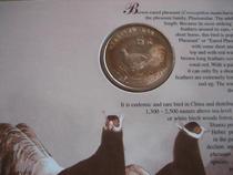 Animal commemorative coin brown horse chicken ordinary circulation commemorative coin binding full package true