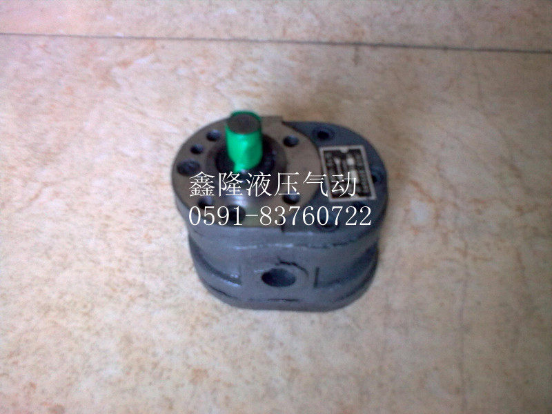 HY01-25*25 gear pump