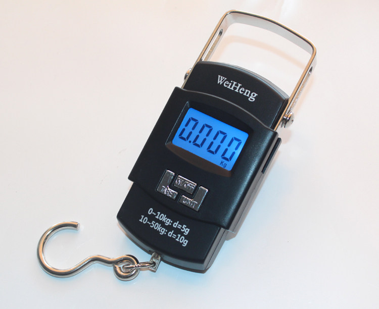 Weiheng Handheld Electronic Scale Portable Scales Electronic Scale Portable Spring Scales Luggage Carry-on says delivery says buy food