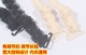 2 tặng 1 nữ phiên bản Hàn Quốc của áo ngực đẹp quai chéo quai hậu gợi cảm đồ lót nữ Vai tráng
