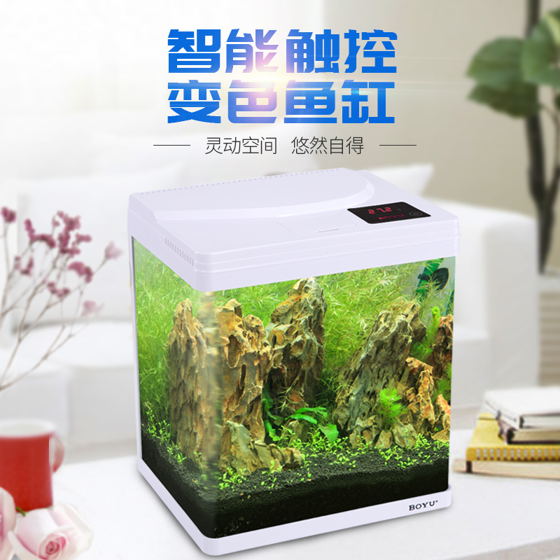 ������̬���