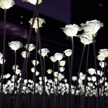 LED Rose Sea Light Outdoor Simulation Square Garden lighting decorative plug lamp manufacturer direct sales