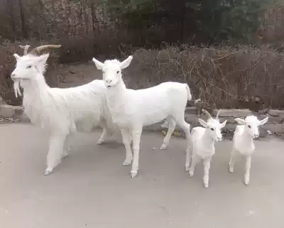 Large simulation sheep, male goats, female goats, small goat lambs can be customized animal models of various sizes