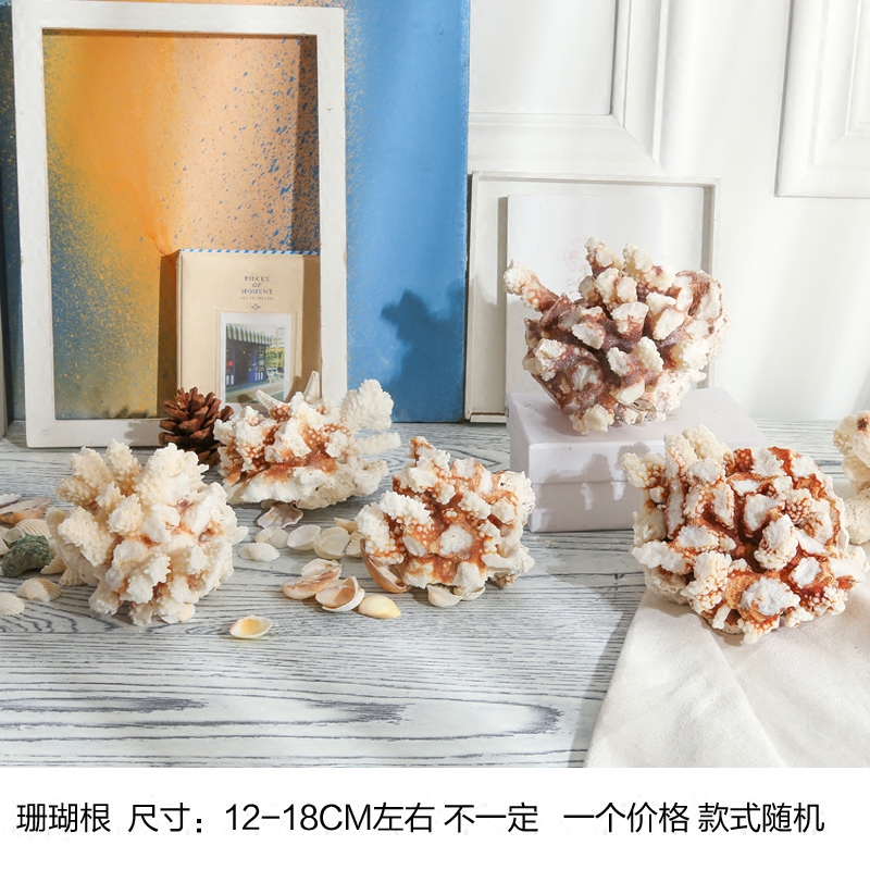 包邮 鱼缸造景家居鱼缸摆件 白珊瑚贝壳海螺 珊瑚礁 海螺