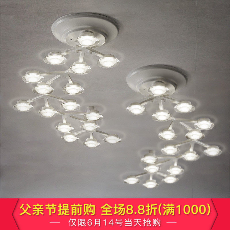 ���ʦ�ĵƷ���������