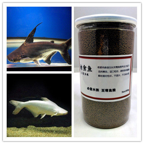 Blue Shark Feed Tiger Shark Sink bottom fish food Zhao Cai Cat Paparazzi Whale Feed Genghis Khan Shark Fish Food