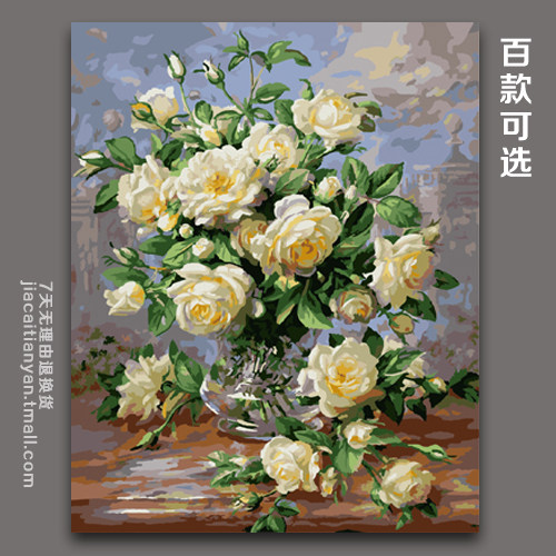 �Ѳ�����diy�ֻ�װ�λ�����