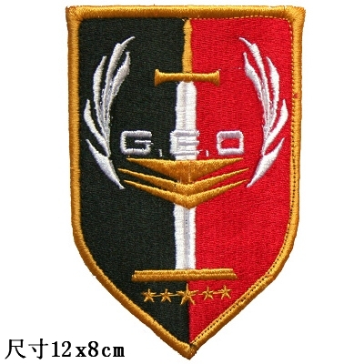 Team arm badge (8) cloth patch with embroidered and embroidered label cloth label for a magic sticker 