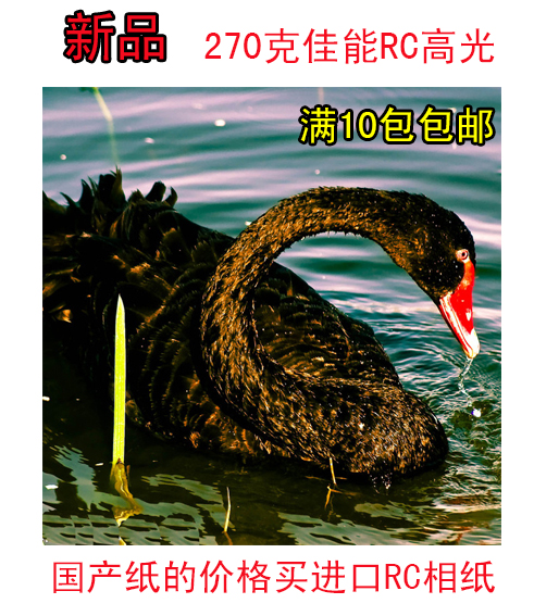 270 gr Canon 6 inch RC high light phase paper A4 photo paper 5 inch inkjet phase paper diamond grade phase paper phase paper